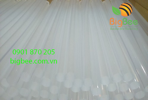 keo silicone cây trắng trong