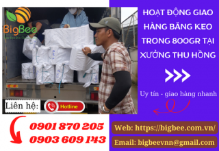 Thu Hồng bỏ sỉ băng keo trong 800gr cho đại lý ở Bình Tân